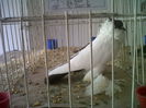 IMG02094-20141129-1449