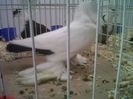 IMG02096-20141129-1449