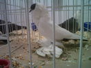 IMG02097-20141129-1449