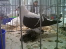 IMG02114-20141129-1452