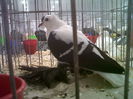 IMG02115-20141129-1452