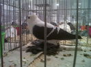 IMG02116-20141129-1453