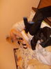 DSCN3728