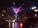 DSCN3836
