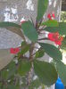 2014-07-03 10.58.35