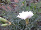 2014-07-06 19.24.21