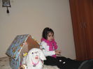 SAM_3273