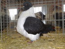 2010-01-16_10-13-38_160120102541