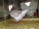 2010-01-16_10-18-04_160120102543