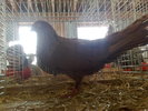 2010-01-16_10-18-18_160120102544