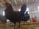 2010-01-16_10-19-06_160120102548
