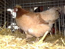 2010-01-16_10-19-46_160120102550