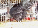 2010-01-16_10-20-10_160120102551