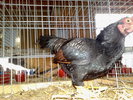 2010-01-16_10-21-32_160120102557