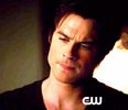 Damon (1)