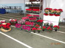 DSC03902