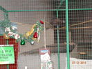 DSC03931