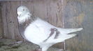 193