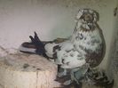 IMG-20141116-01172