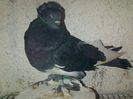 IMG-20141116-01225