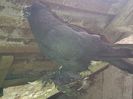 IMG-20141116-01159