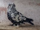 IMG-20140517-00135