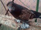 IMG-20140731-00681