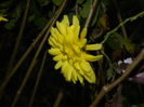 DSCN5308