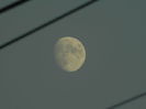 DSCN5333