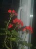 DSCN5386