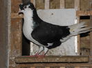 PC070013