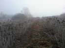 In camp iarna