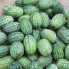 Castravete mexican Cucamelon