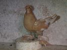 IMG-20141116-01185