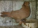 IMG-20141116-01210