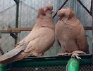 IMG-20140517-00170
