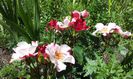 20140630_113737