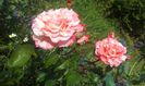 20140707_174530