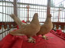 DSCN1364