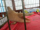 DSCN1372