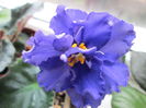 Ek-Sensatsya IMG_2554