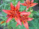 DSCN2287