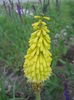 DSCN2197