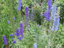 DSCN2172