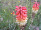 DSCN2154