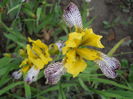 DSCN2147