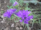 DSCN2140