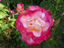 DSCN2087