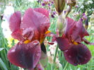 DSCN2041