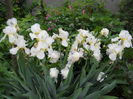 DSCN2006